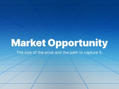 Market Opportunity & Growth Strategy